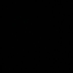 Meet your Posher, Akilah